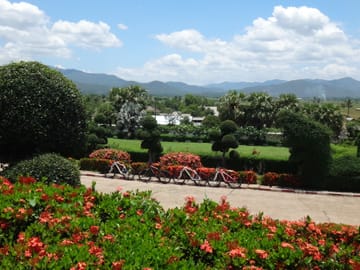Mountain Biking Tour in Mae Ping Valley, Chiang Mai