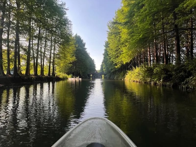 Suzhou: Tiger Hill Wetland Water-Forest Paddle Day