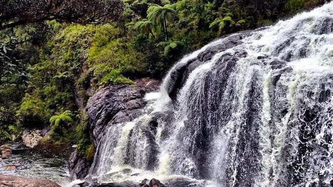 Hortan Plains & Nuwara Eliya Tour (German & English) 8