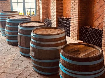4 Full days in Georgia with private tour, free aiport