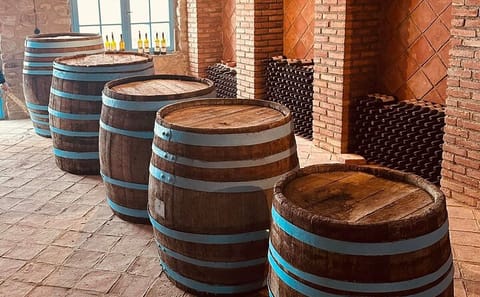 Kakheti Wine Tasting Tour in Signagi and Bodbe Monastery