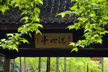 Hiking Day Trip at Hangzhou's West Lake and Longjing Village