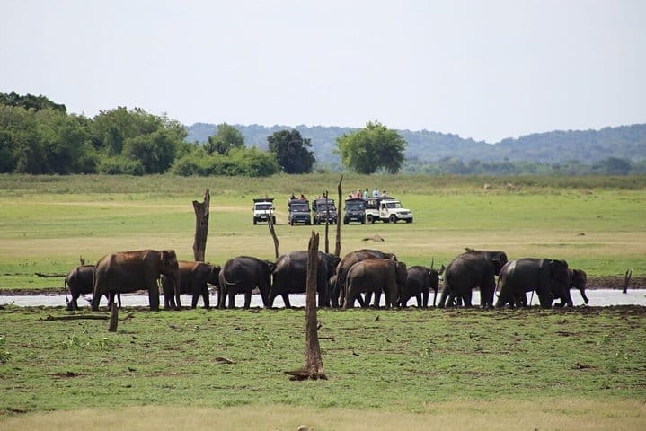 Horton Plains National Park Tour With Scenic Train Ride