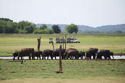 Hurulu Eco Park Private Safari