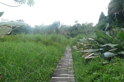 Wildlife Nature Tour at Hacienda Baru near Quepos, Costa Rica