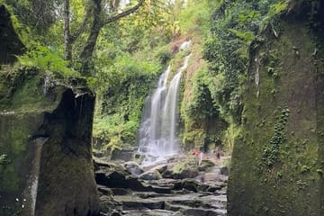 Bali Waterfall and Temple Tour in Gianyar and Kintamani