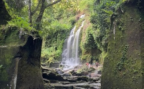 Bali Waterfall and Temple Tour in Gianyar and Kintamani