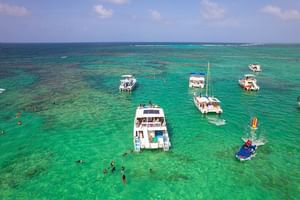 Private Boat Snorkeling and Swim with Shark and Stingray