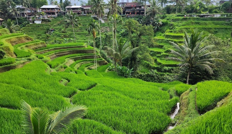 Bali : Fullday Tour West Nusa Penida Island