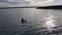 Freedive Foodhunt	 6