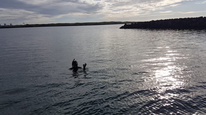 Freedive Foodhunt	 photo 6