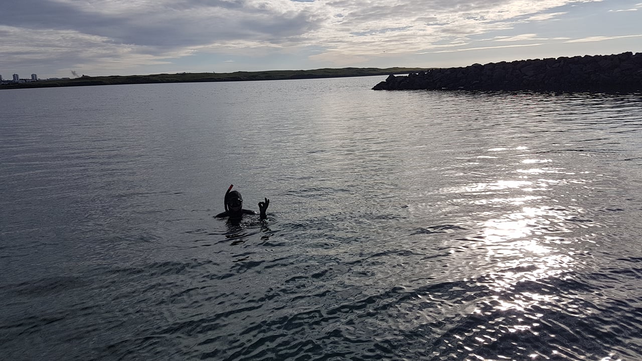 Freedive Foodhunt	 6