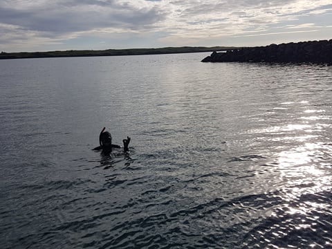 Freedive foodhunt , photo 6