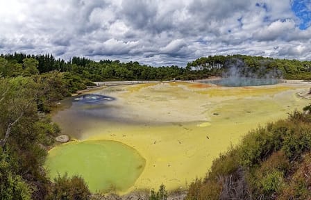 Luxury Auckland-Rotorua Geothermal Wonderlands