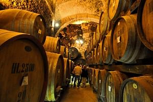 Grand Wine & Food Tour in Chianti Classico (Tuscany) - Visit 3 winery with lunch