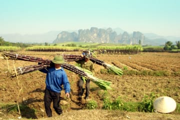 Three-Day Trekking Adventure in Mai Chau and Pu Luong