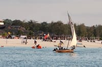 Zanzibar Mnemba Island Dolphin and Snorkeling Tour 9