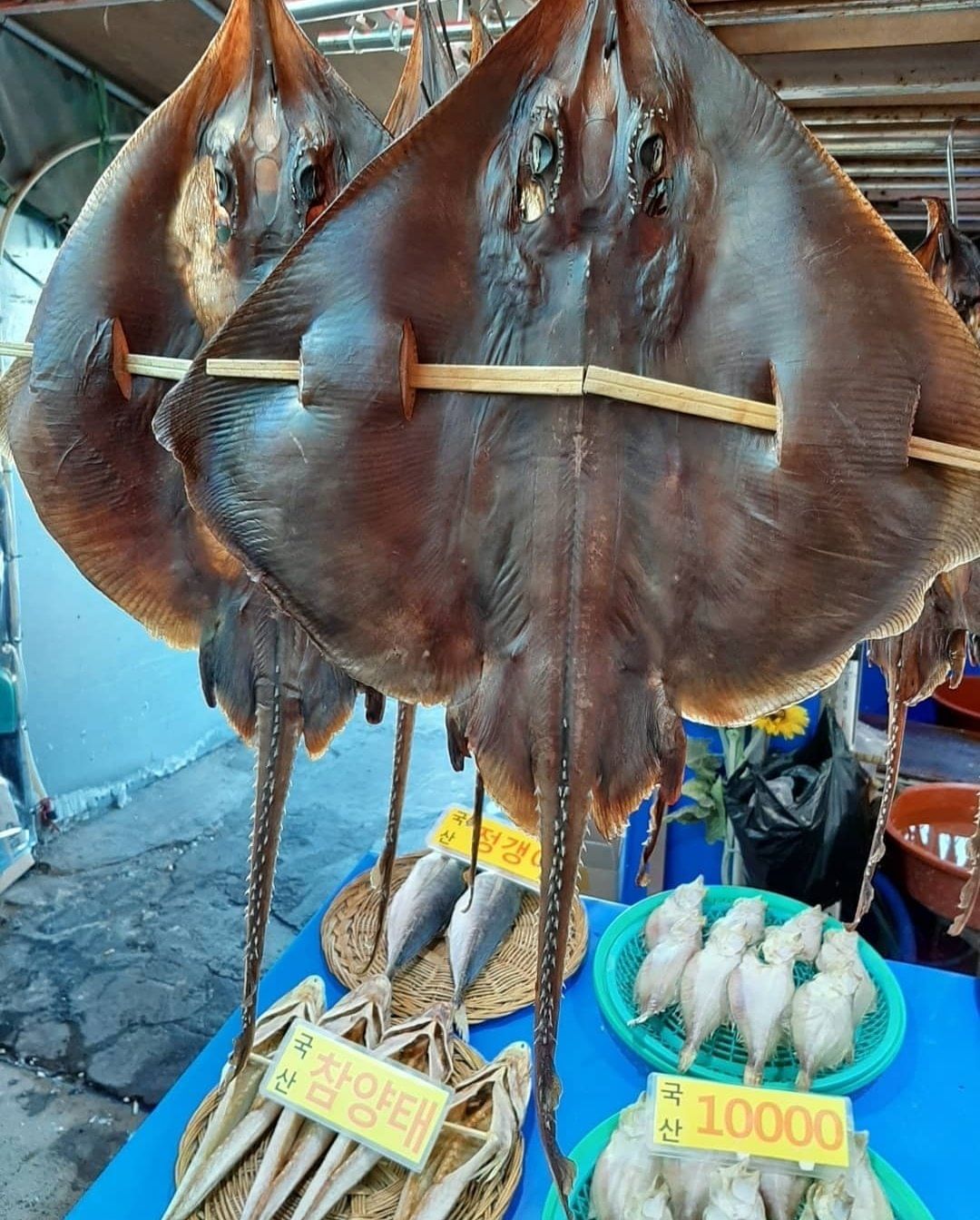 A stingray displayed on ice at a seafood stall in Jagalchi Market.