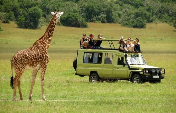 4 Days Private Wildlife Safari in Amboseli and Tsavo