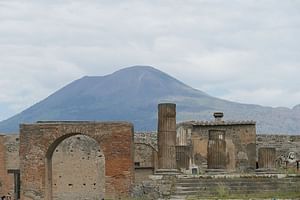 POMPEII and VOLCANO Mt. VESUVIUS - VIP Guided tour / Small group / With ticket