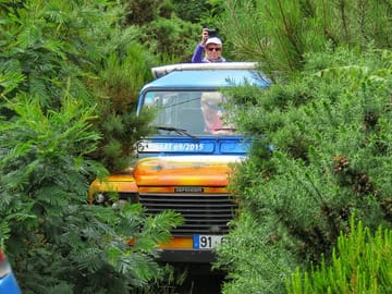 Private Full-Day 4x4 Tour of West Madeira from Funchal