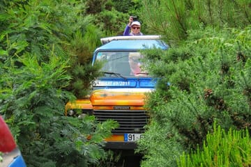 Private Full-Day 4x4 Tour of West Madeira from Funchal