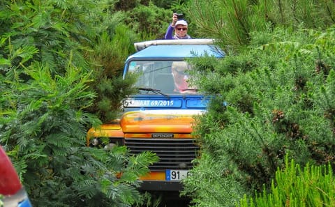 Private Full-Day 4x4 Tour of West Madeira from Funchal