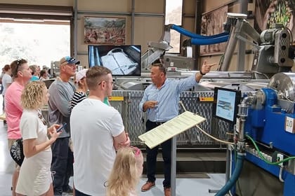 Crete Discovery: Palace of Knossos, Wine and Olive Oil Experience!