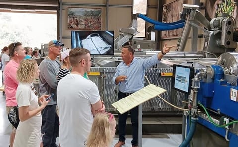Cultural Tour of Knossos Palace and Archanes Wine Experience