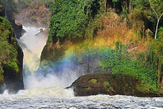 12-Day Super Luxury Wildlife Tour in Entebbe Uganda photo 2