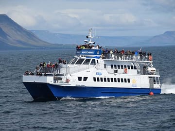 Whale watching adventure from Akureyri Harbour
