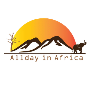 Allday in Africa Limited