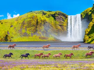 West and South Iceland - 7-Day Self-Drive, photo 21