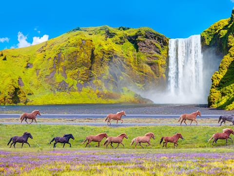 West and South Iceland - 7-Day Self-Drive, photo 21