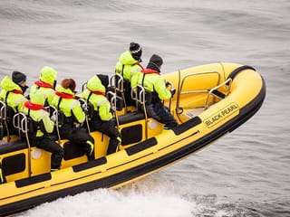 Puffin Tour by RIB Speedboat from Downtown Reykjavik, photo 10