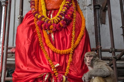 Kathmandu Durbar Square – Private/Small Group