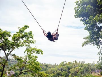 Jungle Swing