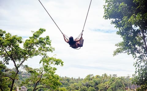 Private Day Tour of Bali Volcano and Jungle Swing Experience