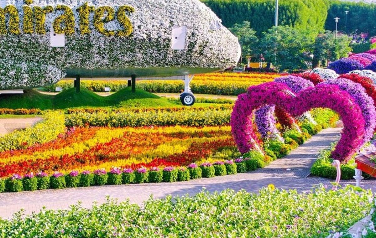 Pass Ticket to Miracle Garden from Dubai