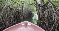 03 Day Tour From  Colombo ( Without Accommodation)  2
