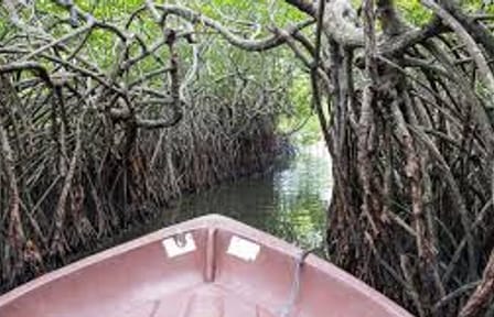 03 Day Tour From  Colombo ( Without Accommodation)