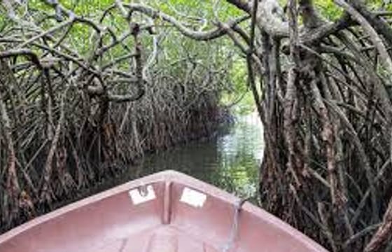 03 Day Tour From Colombo ( Without Accommodation)