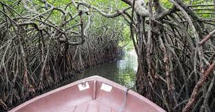 03 Day Tour From  Colombo ( Without Accommodation)  2