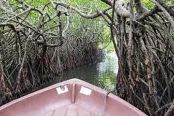 3-Day Adventure Tour of Colombo's Culture and Landscapes