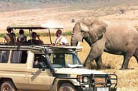  3 Day Masai Mara Safari Flying Package 9