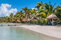 Paradise Islands Tour: Isla Contoy and Isla Mujeres 3