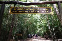 Thailand’s Last Lowland Rainforest – A Hidden Gem Tour 2