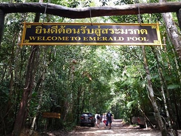 Thung Theo Forest Natural Park Full-Day Guided Tour
