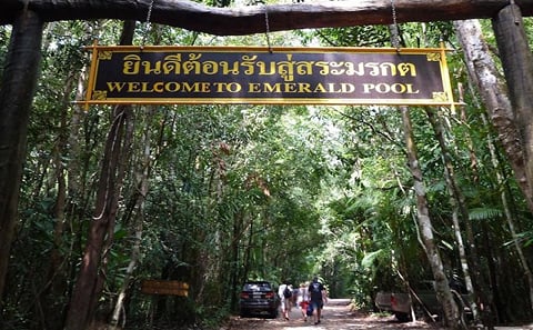 Thung Theo Forest Natural Park Full-Day Guided Tour
