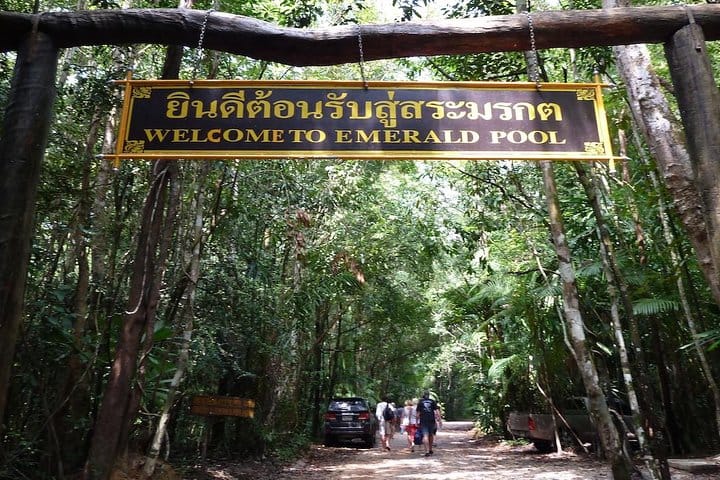 Thailand’s Last Lowland Rainforest – A Hidden Gem Tour 2